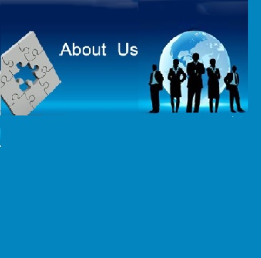 Professional team collaboration